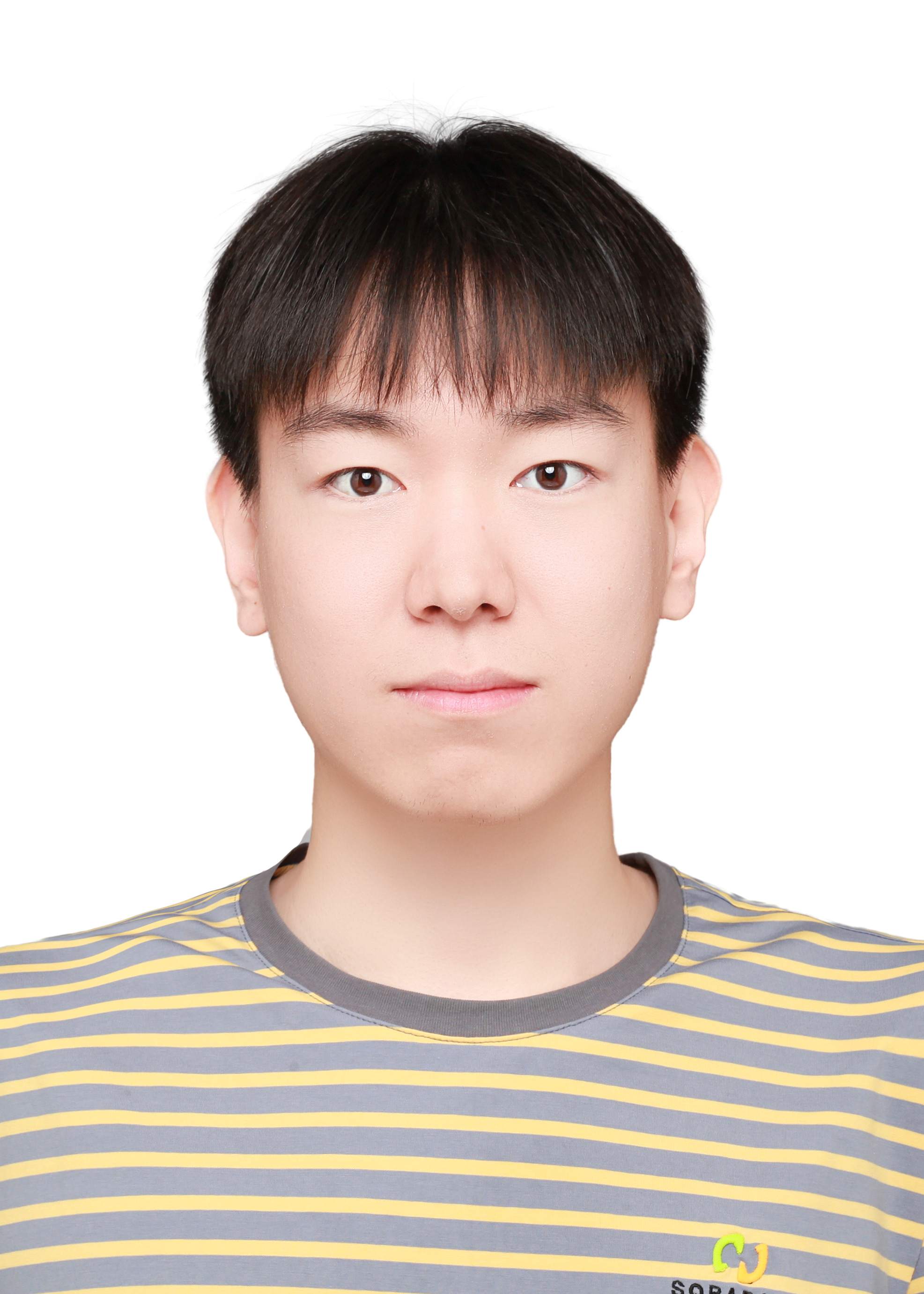 Ruyi Wang